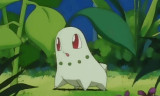 Pokemon Polished Crystal background